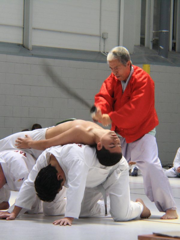 exhibición_hapkido