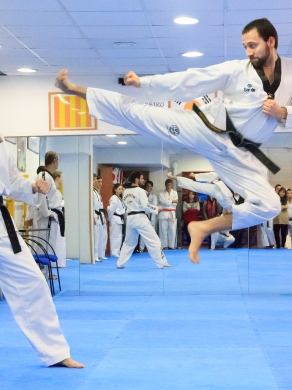 taekwondo3
