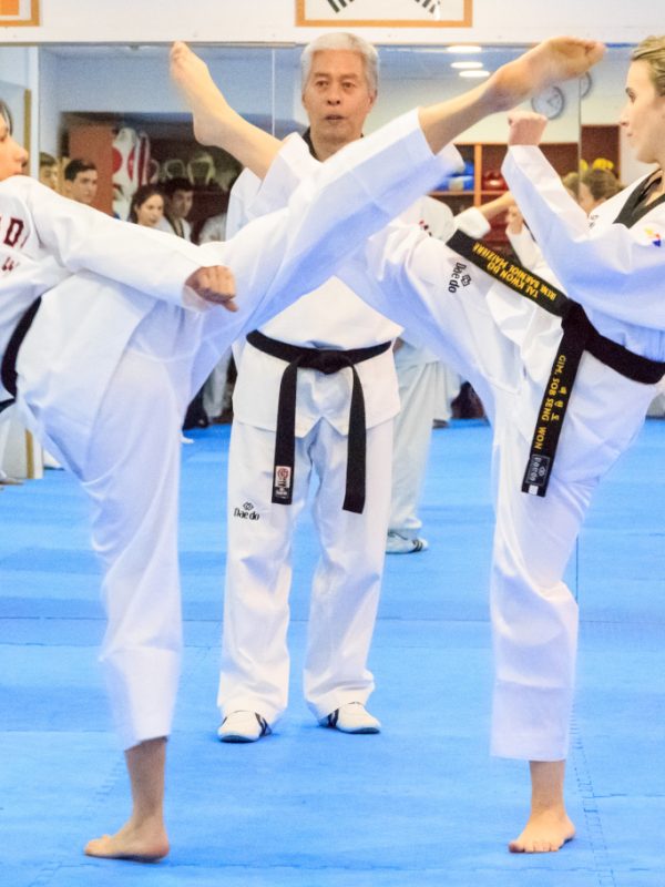 taekwondo4